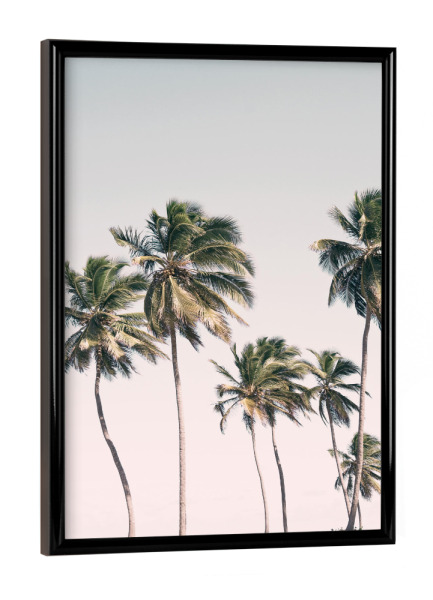 Poster mit schwarzem Rahmen "Erröten tropische Palmen" artboxONE - Natur,Reise / Strand und Meer