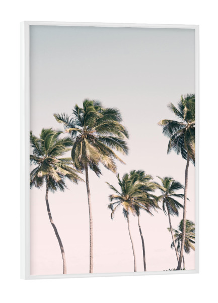 Poster mit weißem Rahmen "Erröten tropische Palmen" artboxONE - Natur,Reise / Strand und Meer