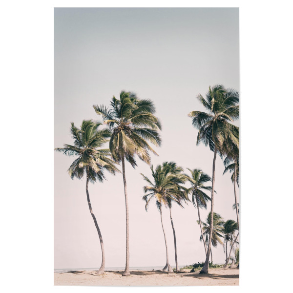 Poster 30x20 cm "Erröten tropische Palmen" artboxONE - Natur,Reise / Strand und Meer