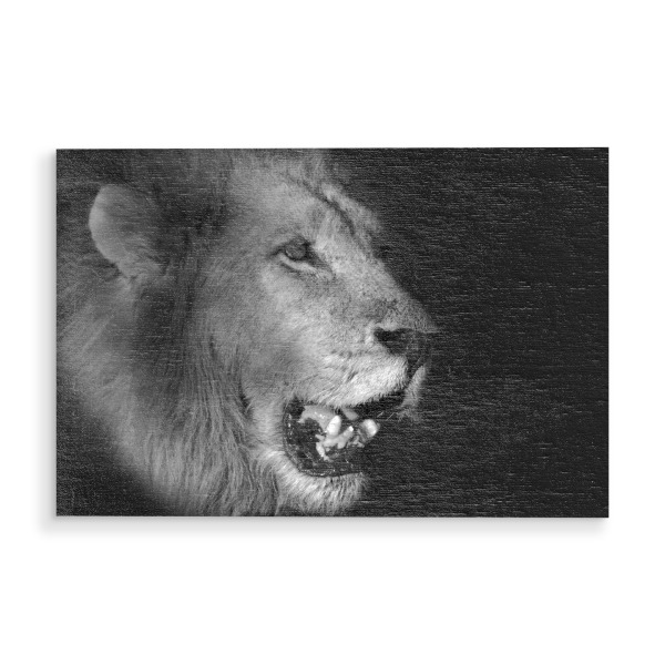 Holzbild "Lion in B&W" artboxONE - Natur,Tiere,Schwarzweiß,Reise / Afrika