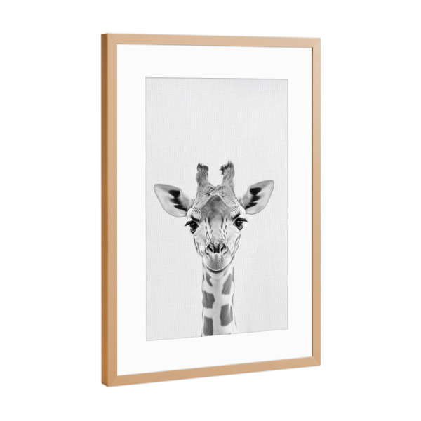 Poster mit Rahmen Kupfer "Beni Niedliche Giraffen-Baby" artboxONE - Natur,Tiere,Lustig