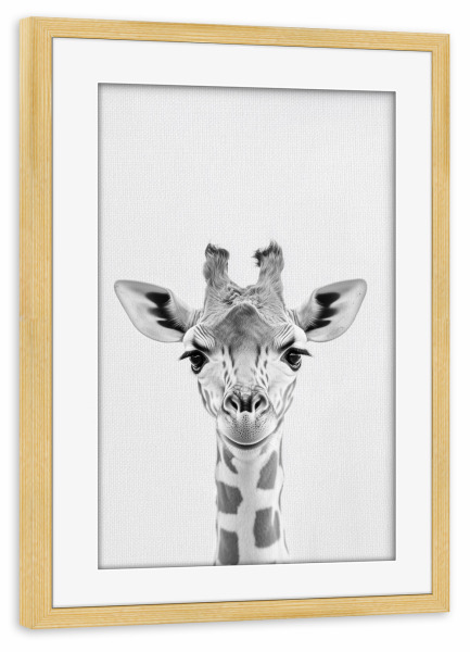 Poster mit Rahmen kiefer "Beni Niedliche Giraffen-Baby" artboxONE - Natur,Tiere,Lustig