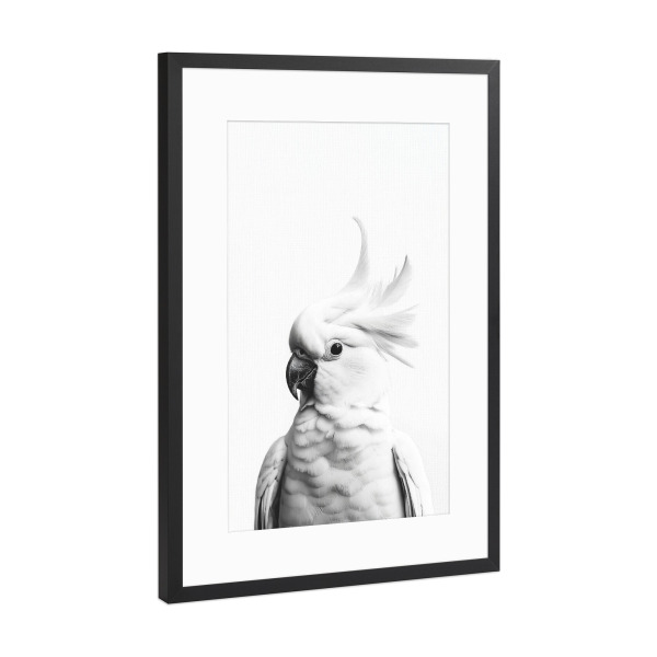Poster mit Rahmen Schwarz (Metallic) "Coco Niedlicher Kakadu" artboxONE - Für Kinder,Tiere,Lustig