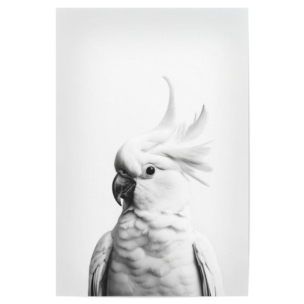 Poster "Coco Niedlicher Kakadu" artboxONE - Für Kinder,Tiere,Lustig