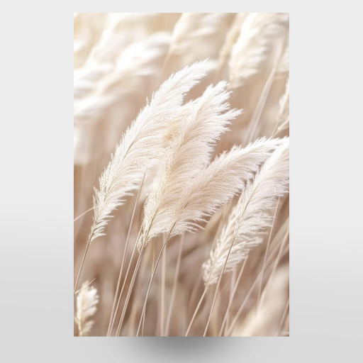 Feathery Pampas Grass