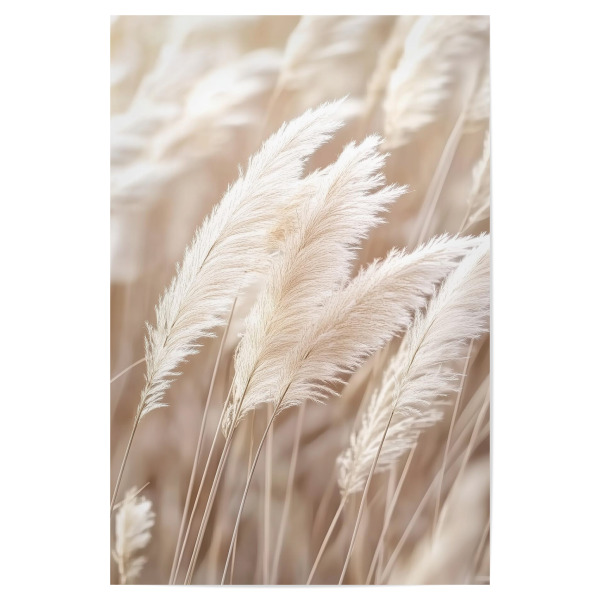 Poster "Federrücken in Broschüren" artboxONE - Natur,Floral - Pampasgras,Pflanzen,Strand,Urlaub