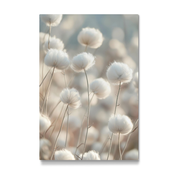 Galerie-Print "Baumwollfeld in Blüte" 75x50 cm artboxONE