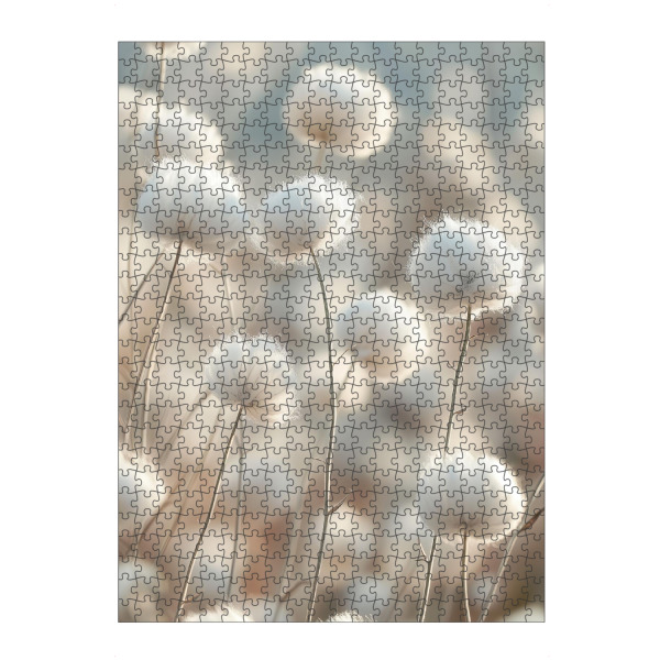 Puzzle Ravensburger "Baumwollfeld in Blüte" artboxONE - Natur,Floral - Baumwollfeld,Gras,Beige - Bild baumwollfeld