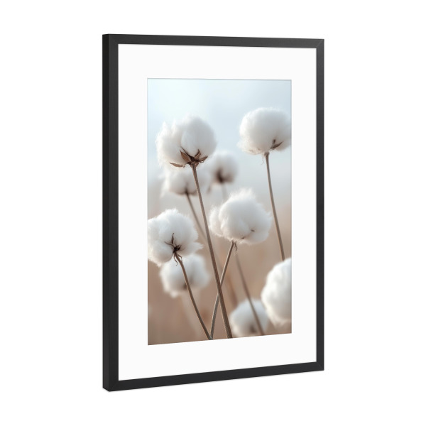 Poster mit Rahmen Schwarz (Metallic) "Ein Nahaufwandwattefeld" artboxONE - Natur,Floral - Baumwollfeld,Flauschig
