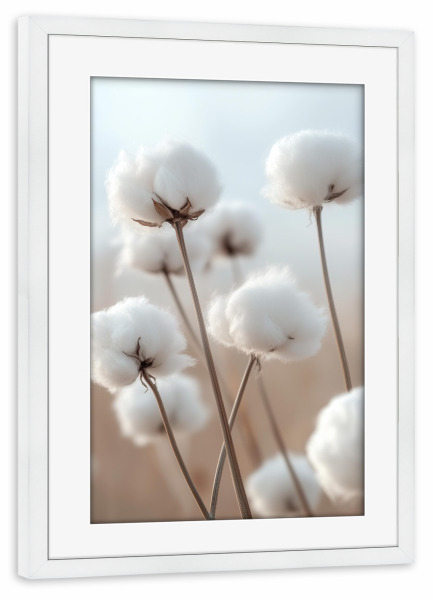 Poster mit Rahmen weiß "Ein Nahaufwandwattefeld" artboxONE - Natur,Floral - Baumwollfeld,Flauschig