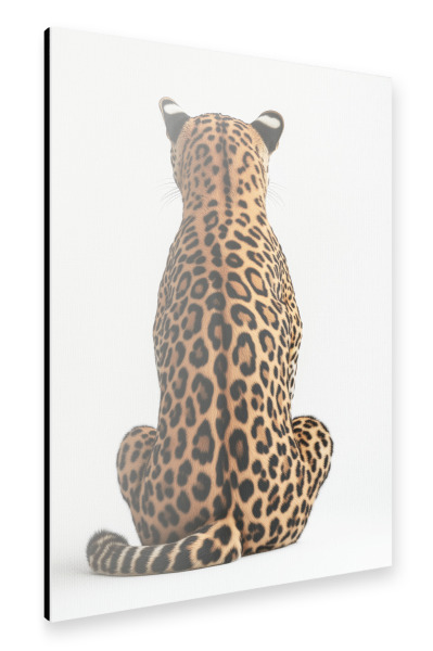 Alu-Dibond "Eleganter Leopard" 75x50 cm artboxONE