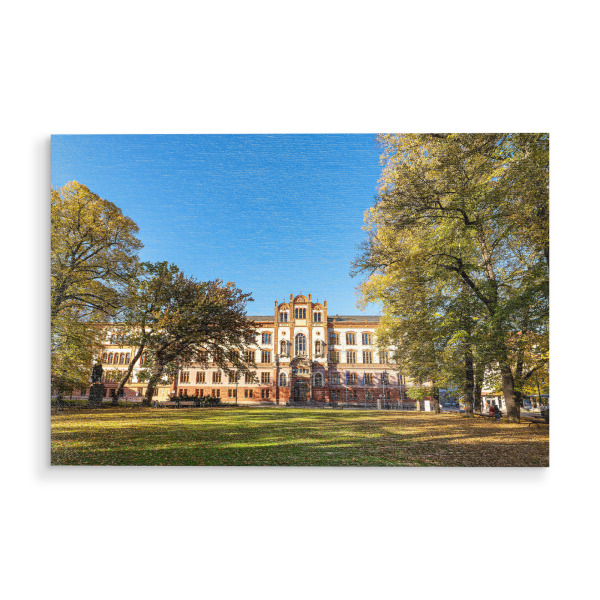 Holzbild "Rostocker Universität" artboxONE - Städte,Natur,Reise,Architektur