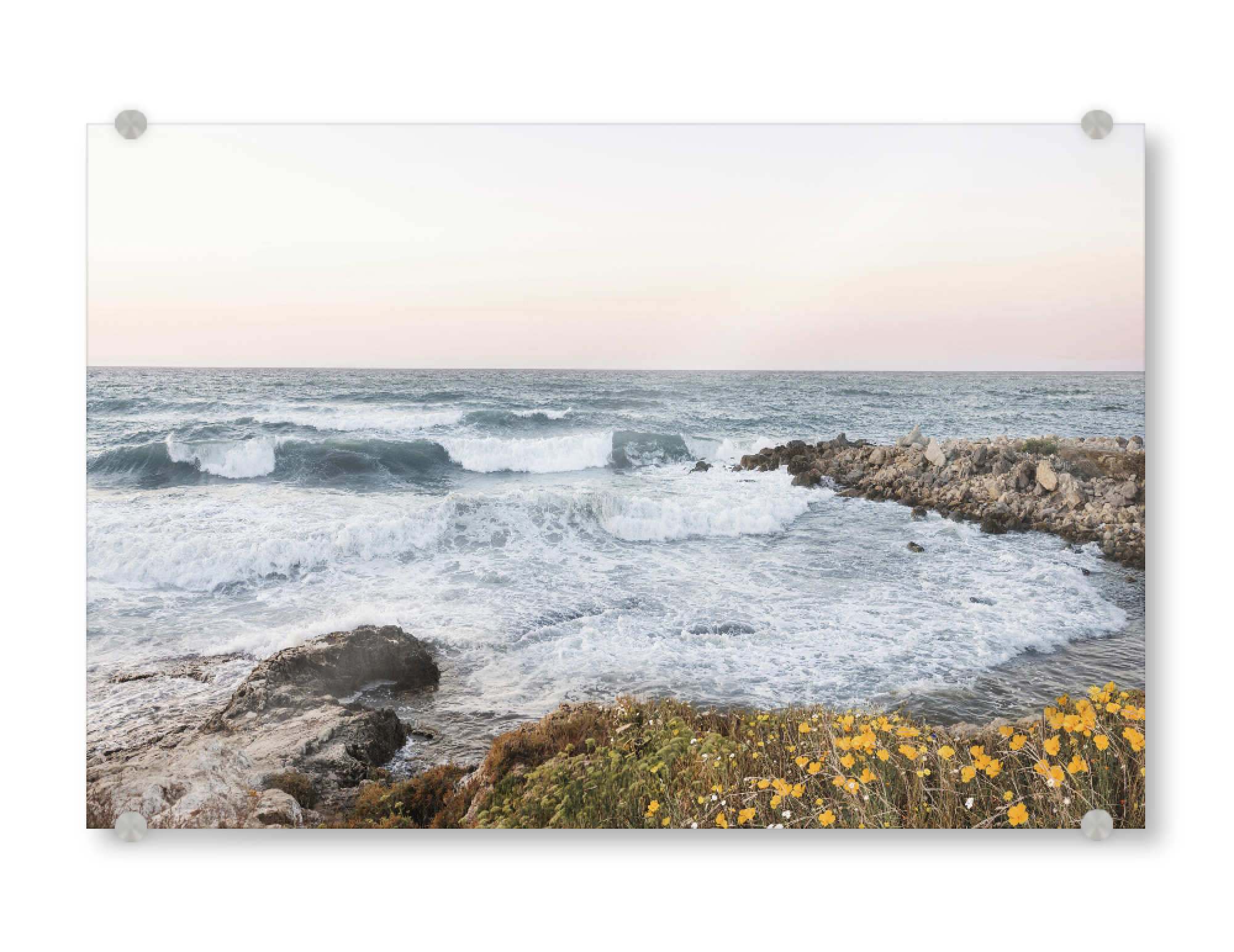 Acrylglasbild "Blumen an der Küste" artboxONE - Natur,Reise / Strand und Meer - Strand,Küste,Meer,Meereslandschaft,Blumen,Wildblumen,Landschaft