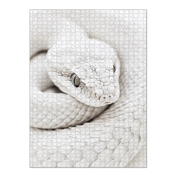 Puzzle Ravensburger "Elegante weiße Schlange" artboxONE - Natur,Tiere,Reise / Afrika