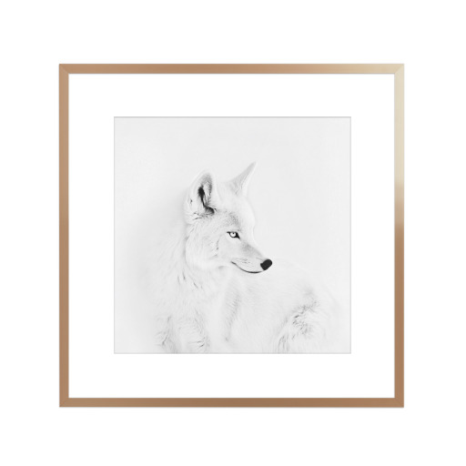 Eleganter weißer Polarfuchs