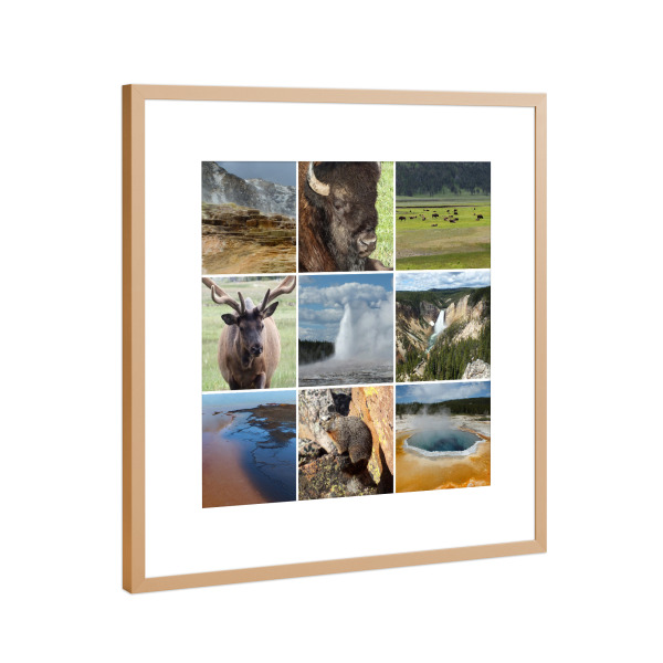 Poster mit Rahmen Kupfer "Yellowstone Collage" artboxONE - Natur,Reise,Tiere,Reise / Länder