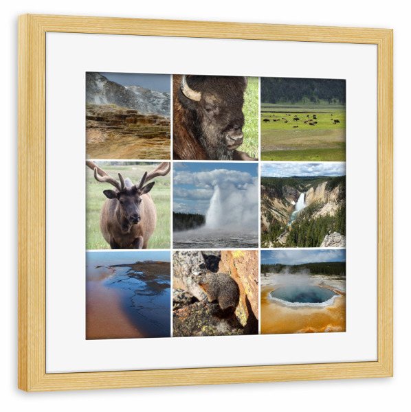 Poster mit Rahmen kiefer "Yellowstone Collage" artboxONE - Natur,Reise,Tiere,Reise / Länder