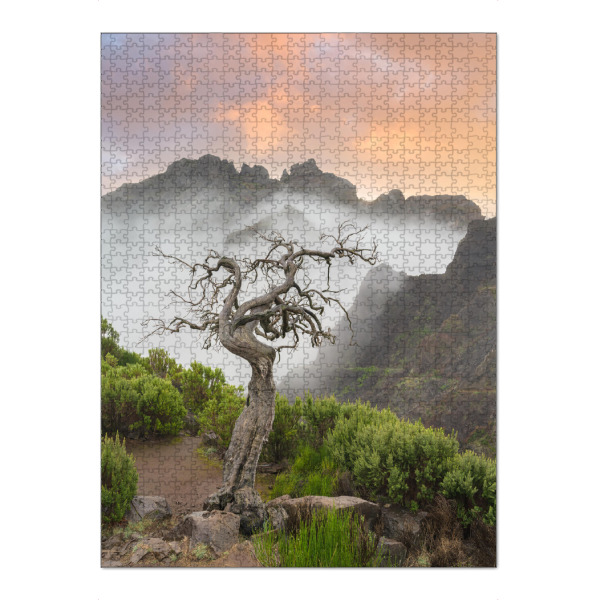 Puzzle Ravensburger "Ein stiller Wächter auf Madeira" artboxONE - Natur,Reise,Reise / Länder