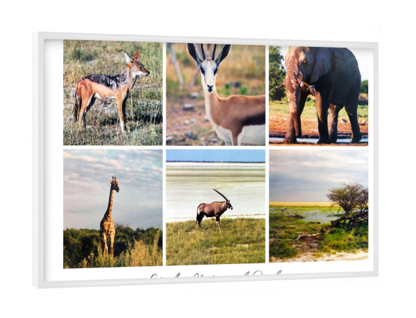 Poster mit weißem Rahmen "Etosha Kollage" artboxONE - Reise,Tiere,Musik,Reise / Afrika,Reise / Länder