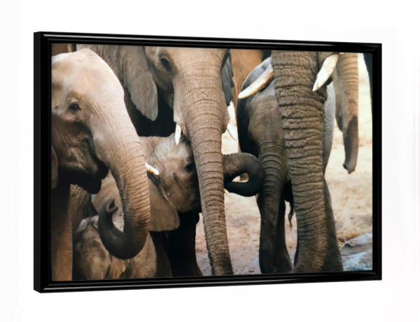 Poster mit schwarzem Rahmen "Elefanten am Wasserloch" artboxONE - Natur,Reise,Tiere,Reise / Afrika,Reise / Länder