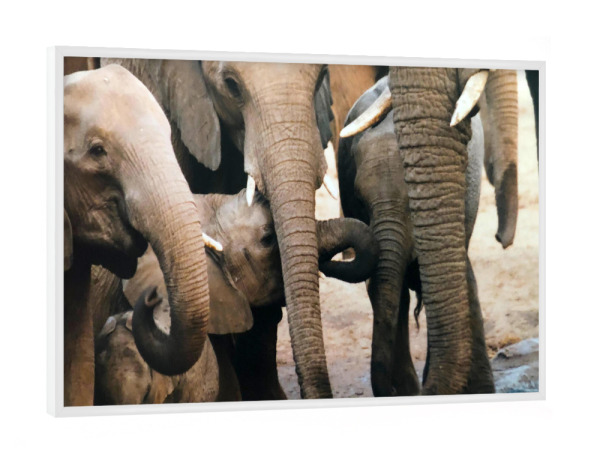 Poster mit weißem Rahmen "Elefanten am Wasserloch" artboxONE - Natur,Reise,Tiere,Reise / Afrika,Reise / Länder