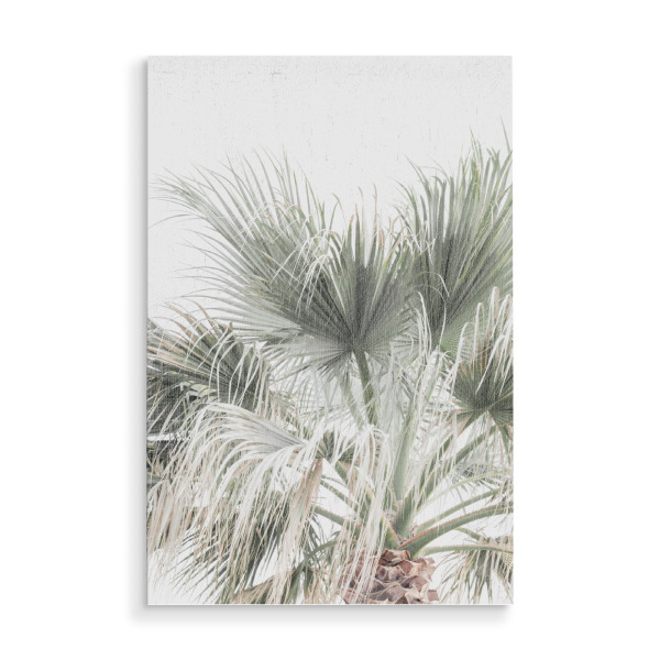 Holzbild "Palmneutral" artboxONE - Natur,Reise,Reise / Strand und Meer - Gedämpfte töne,Palmen,Palmblatt,Botanische,Tropische,Pflanze