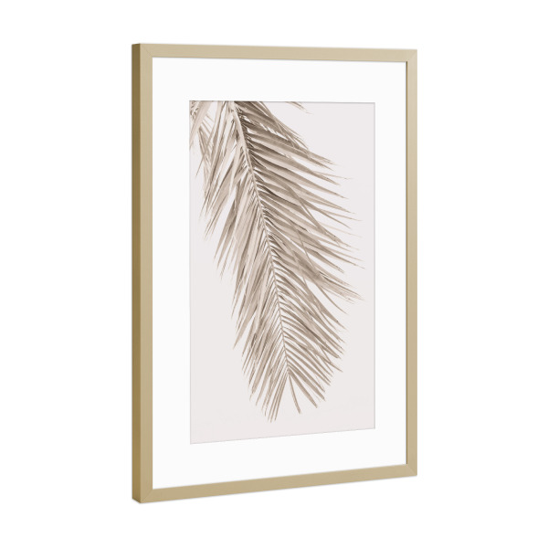 Poster mit Rahmen Gold "Neutrale Handfläche" artboxONE - Natur,Reise,Reise / Strand und Meer