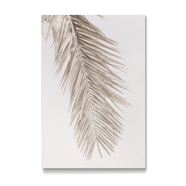 Galerie-Print "Neutrale Handfläche" 30x20 cm artboxONE