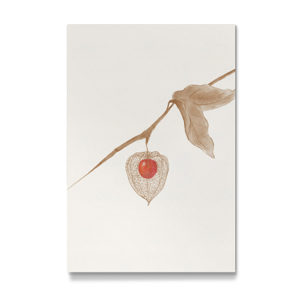 Galerie-Print "Winterkirsche" 30x20 cm artboxONE
