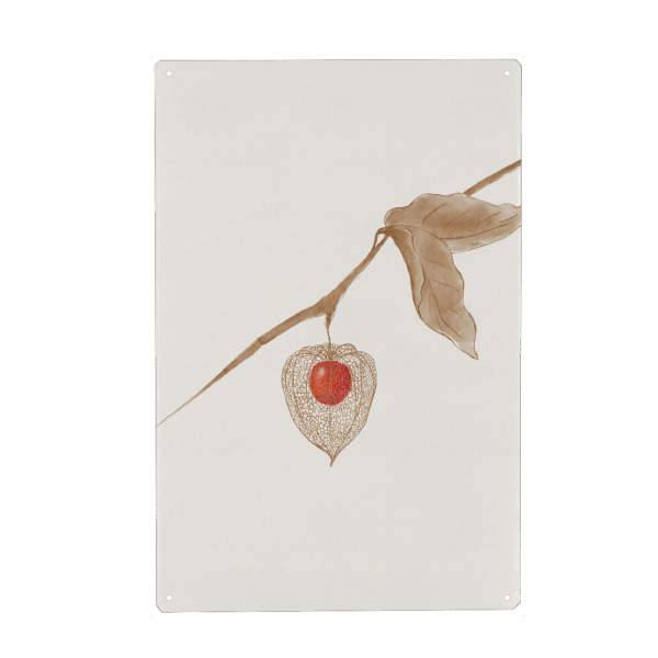 Metall Poster "Winterkirsche" artboxONE - Natur