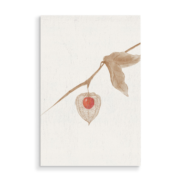 Holzbild "Winterkirsche" artboxONE - Natur