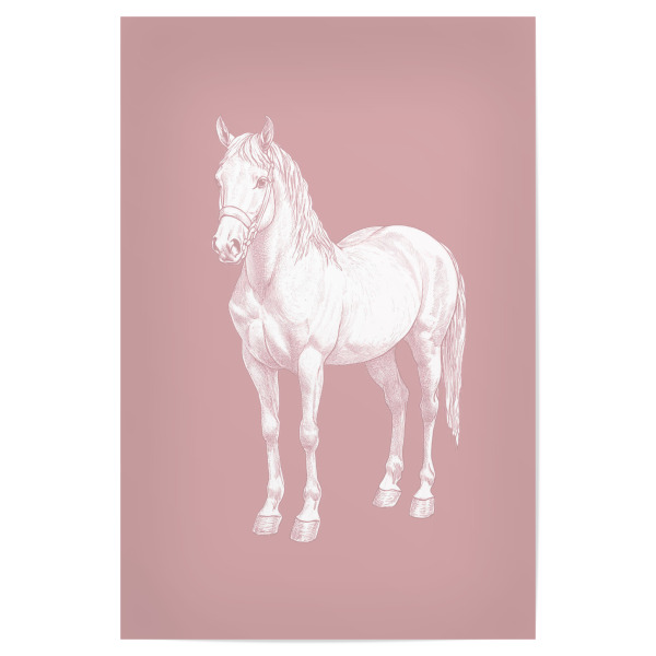 Poster 30x20 cm "Pferd im rosa Hintergrund" artboxONE - Natur,Reise,Tiere,Sport