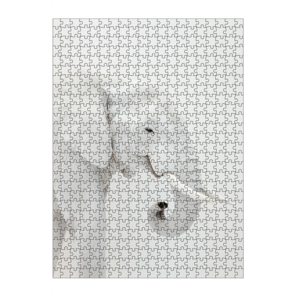 Puzzle Ravensburger "Eleganter Weißer Elefant" artboxONE - Natur,Tiere,Reise / Afrika