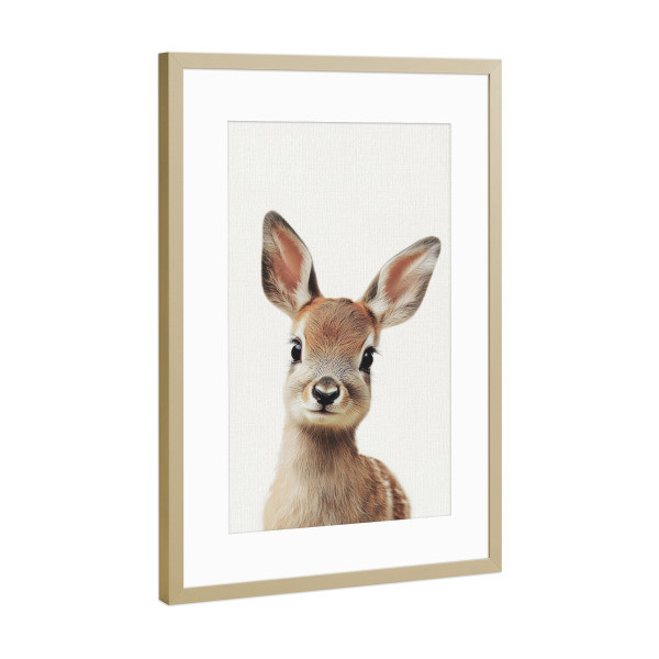 Poster mit Rahmen Gold "Niedliches Rehkitz" artboxONE - Natur,Für Kinder,Tiere