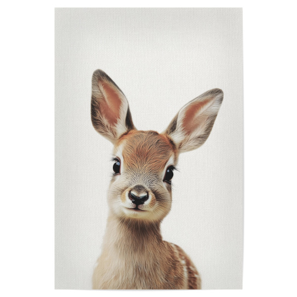 Poster 30x20 cm "Niedliches Rehkitz" artboxONE - Natur,Für Kinder,Tiere