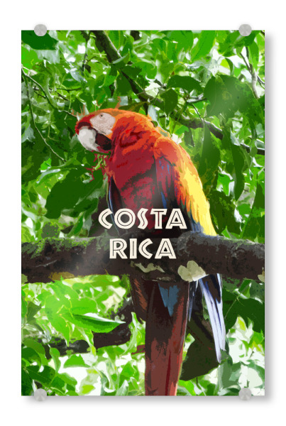 Acrylglasbild "Costa Rica Travel" artboxONE - Natur,Reise,Tiere,Reise / Länder