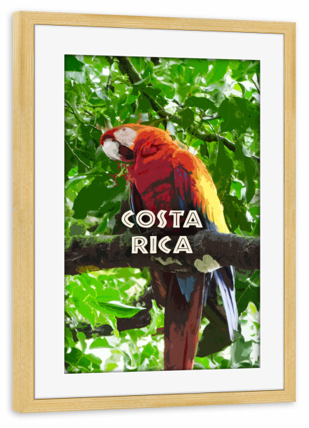 Poster mit Rahmen kiefer "Costa Rica Travel" artboxONE - Natur,Reise,Tiere,Reise / Länder