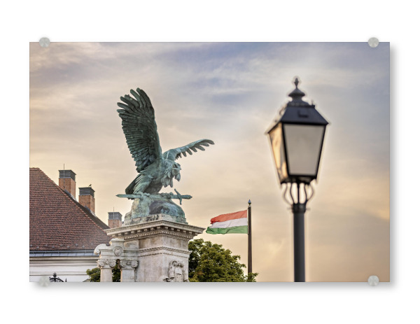 Acrylglasbild "Adler vom Burgpalast" artboxONE - Architektur - Budapest,Ungarn,Adler,Burgpalast,Denkmal,Statue