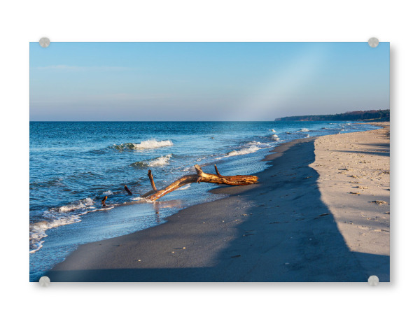 Acrylglasbild "Treibholz am Weststrand" artboxONE - Natur,Reise,Reise / Strand und Meer