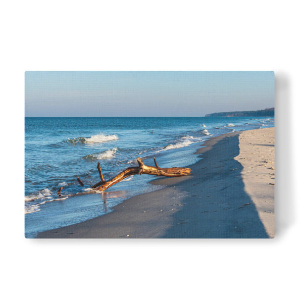 Leinwandbild "Treibholz am Weststrand" artboxONE - Natur,Reise,Reise / Strand und Meer