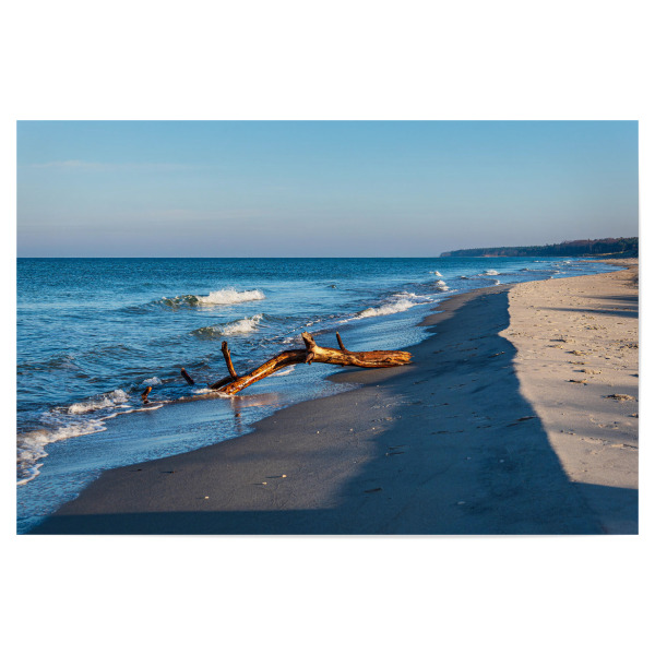 Poster 30x20 cm "Treibholz am Weststrand" artboxONE - Natur,Reise,Reise / Strand und Meer