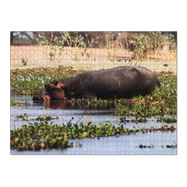 Puzzle Ravensburger "Ein Hippo" artboxONE - Natur,Reise,Tiere,Reise / Afrika,Reise / Länder