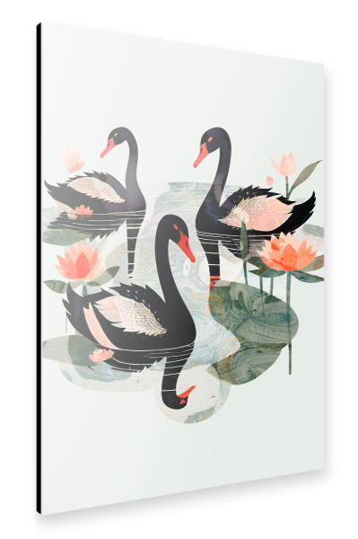 Alu-Dibond "Schwarze Schwäne" 30x20 cm artboxONE