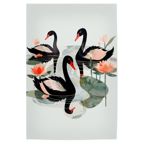 Poster 30x20 cm "Schwarze Schwäne" artboxONE - Floral,Tiere