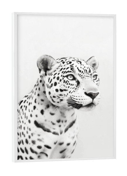 Poster mit weißem Rahmen "Eleganter Weißer Jaguar" artboxONE - Natur,Tiere,Reise / Länder