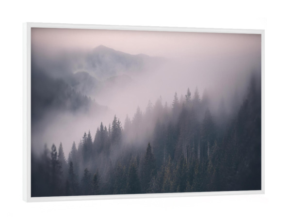 Poster mit weißem Rahmen "Waldlandschaft im Nebel" artboxONE - Natur - Wald,Nebel,Natur,Wildnis,Berge,Gebirge