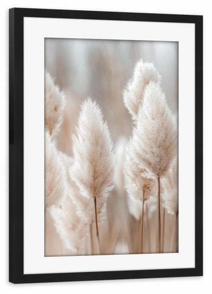 Poster mit Rahmen schwarz "Botanisches Pampasgras" artboxONE - Natur,Floral
