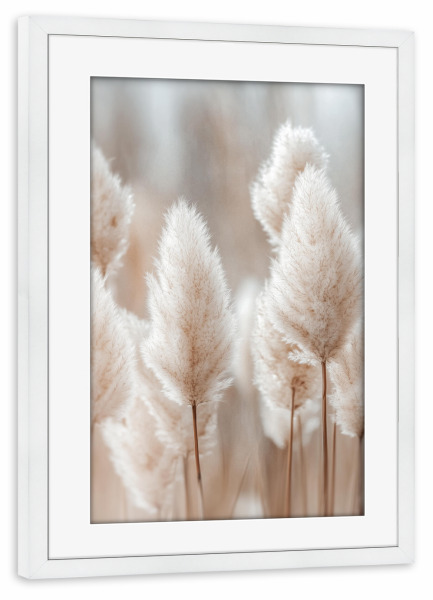 Poster mit Rahmen weiß "Botanisches Pampasgras" artboxONE - Natur,Floral