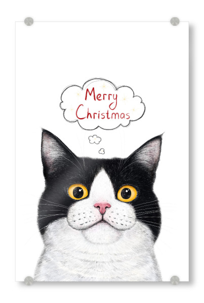 Acrylglasbild "Katze Frohe Weihnachten" artboxONE - Für Kinder,Tiere,Weihnachten,Für Mama,Lustig