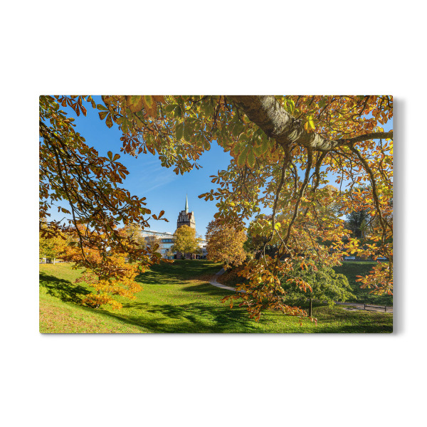 Galerie-Print "Kröpeliner Tor und Bäume" 30x20 cm artboxONE